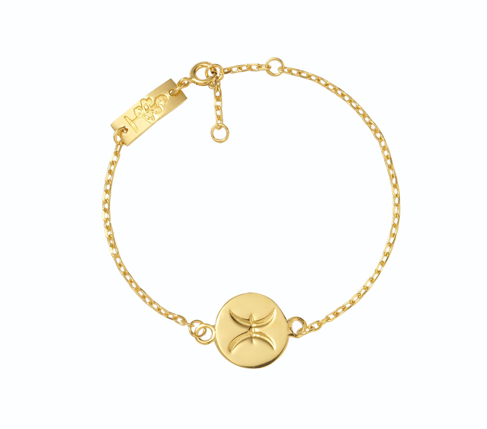 bracelet pisces